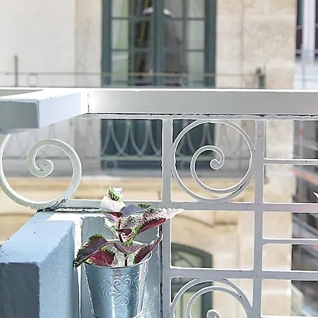 Sweet Downtown 5 * Porto